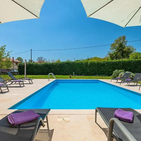 Lavanda Savicenta Rojnići