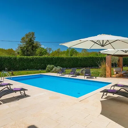 Lavanda Savicenta * Rojnići