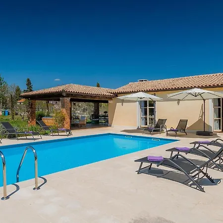 Lavanda Savicenta Rojnići