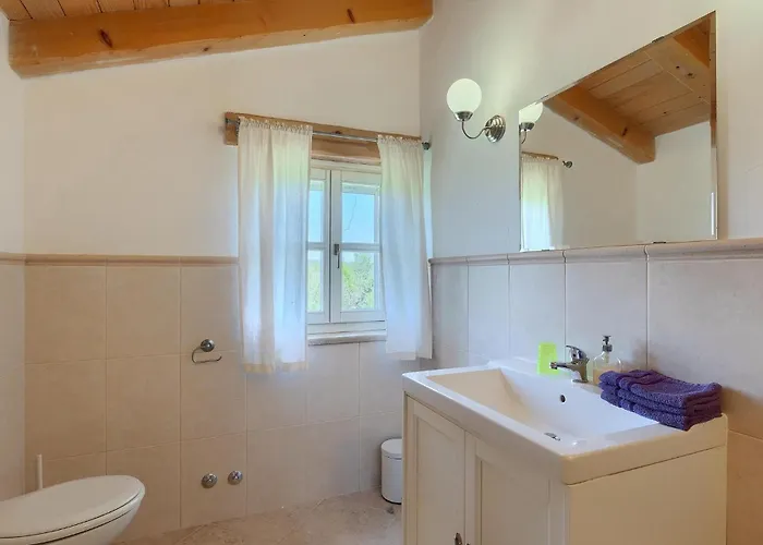 Lavanda Savicenta * Rojnići