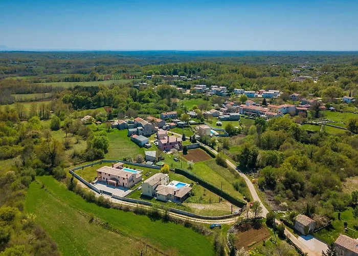 Lavanda Savicenta * Rojnići